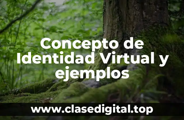 Concepto de Identidad Virtual y ejemplos