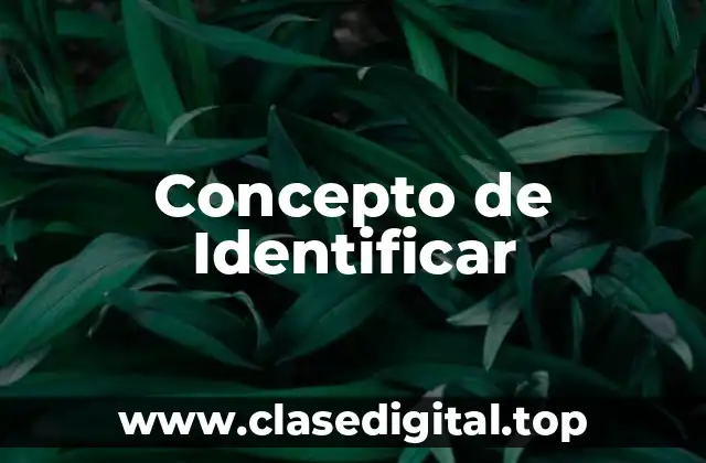 Concepto de Identificar
