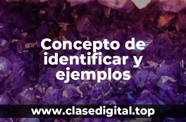 Concepto de identificar y ejemplos