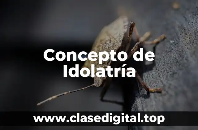 Concepto de Idolatría
