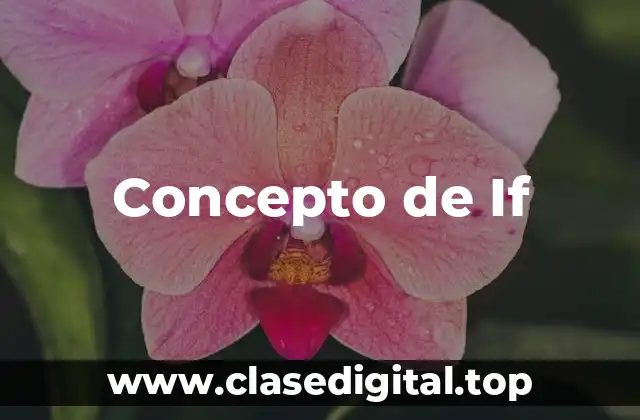 ⚡ ¿Qué es el concepto de If?