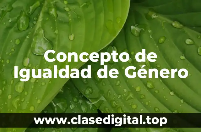 Concepto de Igualdad de Género