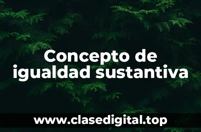 Concepto de igualdad sustantiva