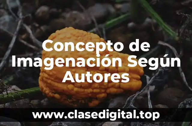 Concepto de Imagenación Según Autores
