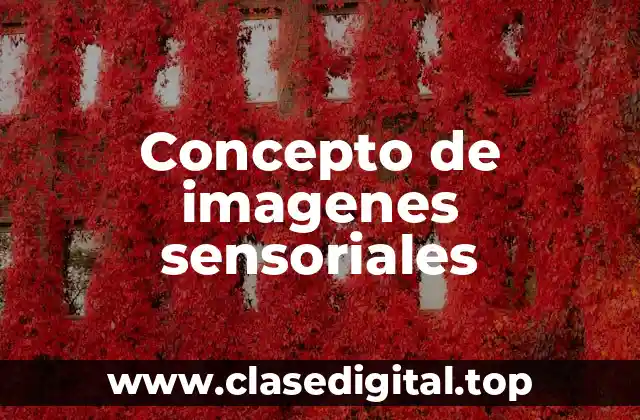 Concepto de imagenes sensoriales