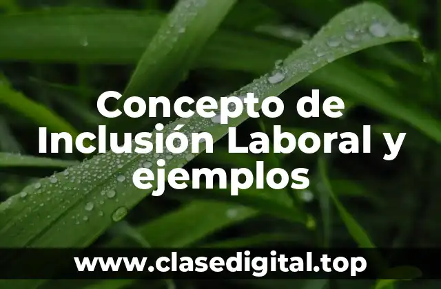 Concepto de Inclusión Laboral y ejemplos