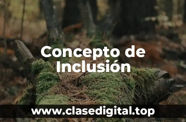 Concepto de Inclusión
