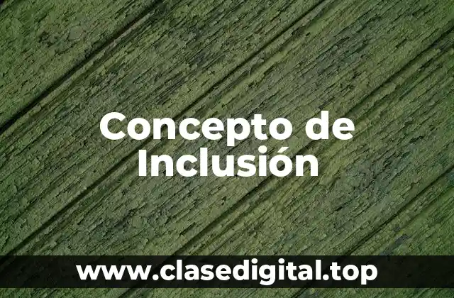 Concepto de Inclusión
