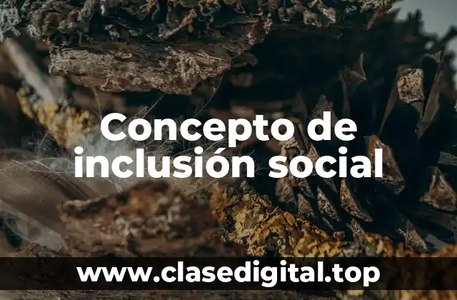 📗 Concepto de inclusión social