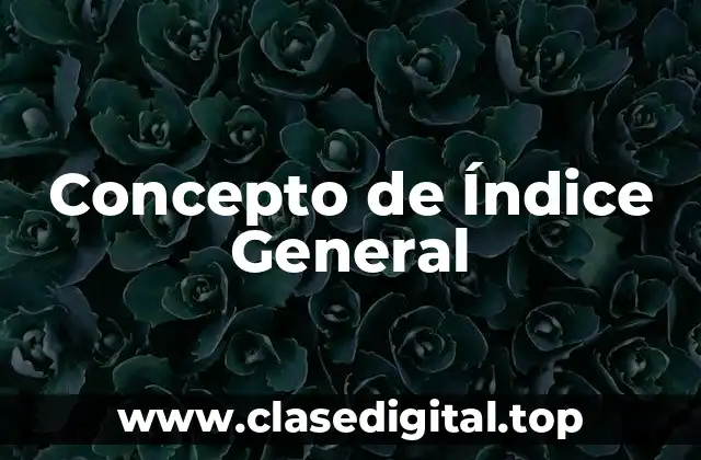 Concepto de Índice General