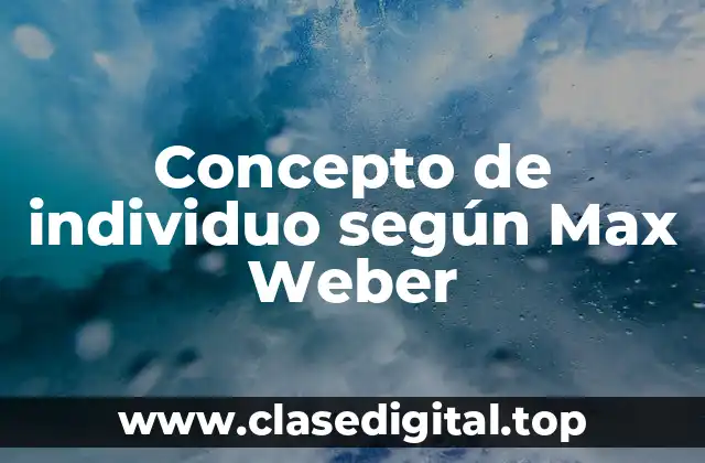 Concepto de individuo según Max Weber
