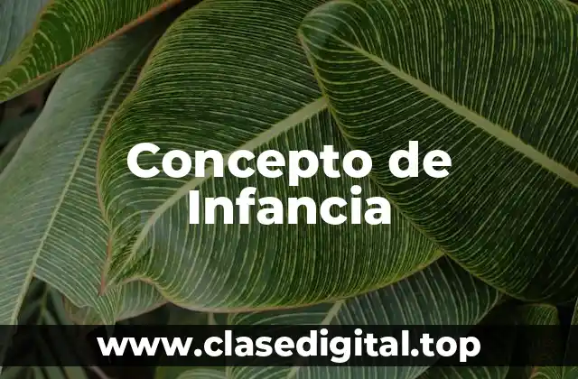 Concepto de Infancia
