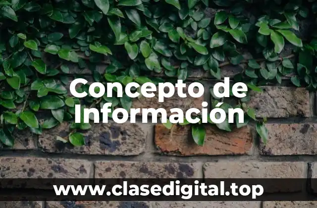 📗 Concepto de Información
