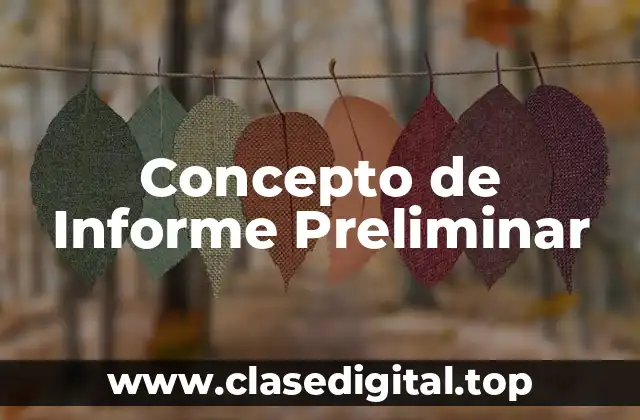 Concepto de Informe Preliminar
