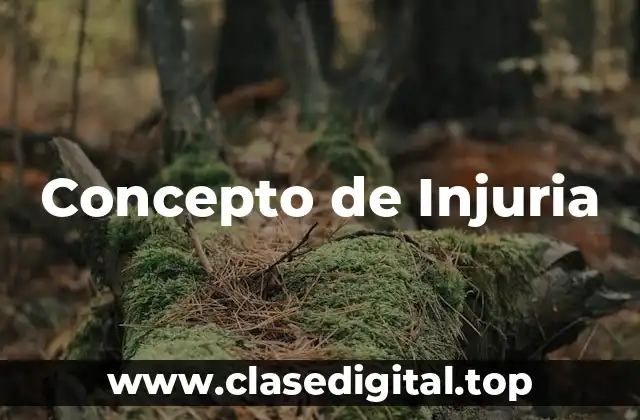 Concepto de Injuria
