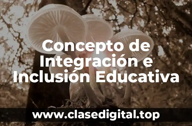 Concepto de Integración e Inclusión Educativa