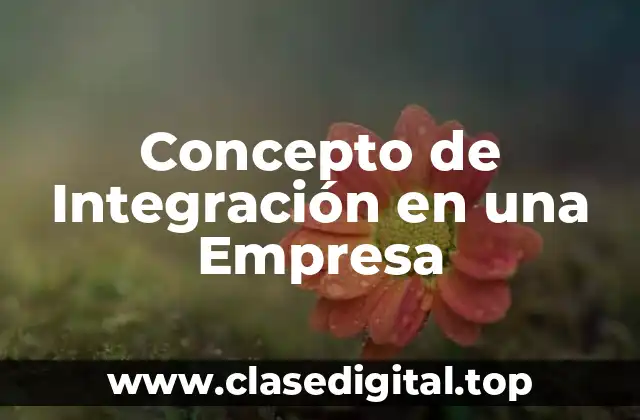 Concepto de Integración en una Empresa