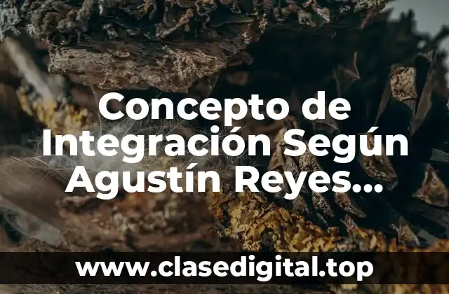 Concepto de Integración Según Agustín Reyes Ponce