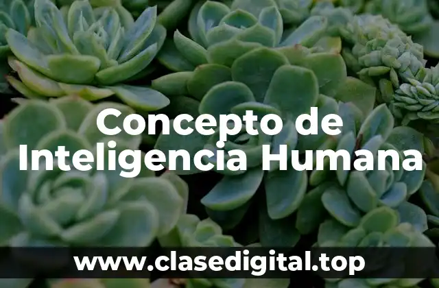 Concepto de Inteligencia Humana