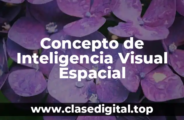 Concepto de Inteligencia Visual Espacial