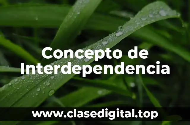 Concepto de Interdependencia