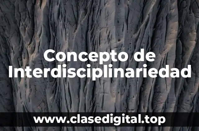Concepto de Interdisciplinariedad