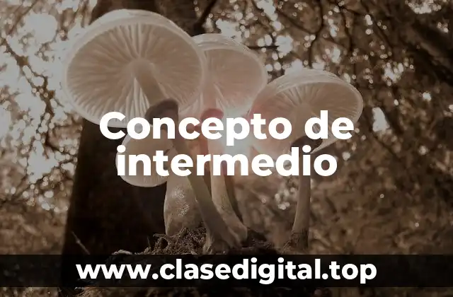 Concepto de intermedio