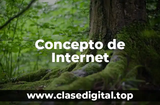 Concepto de Internet