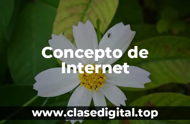 📗 Concepto de Internet