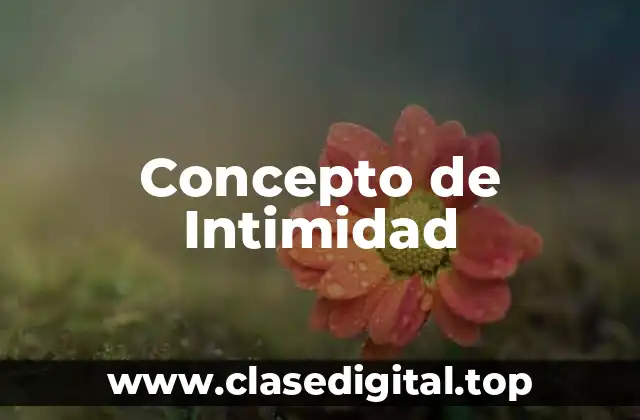 Concepto de Intimidad