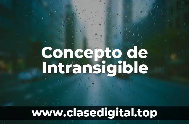 Concepto de Intransigible