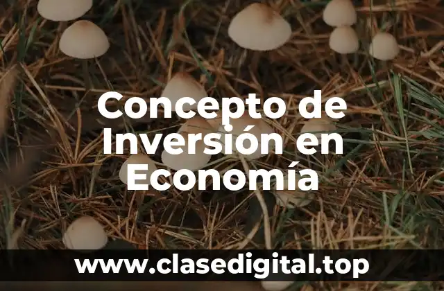 Concepto de Inversión en Economía