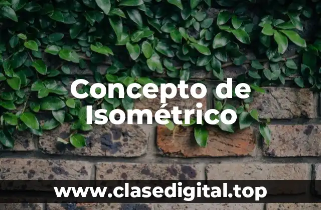 Concepto de Isométrico