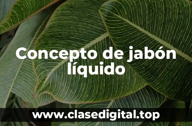 Concepto de jabón líquido
