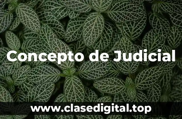Concepto de Judicial