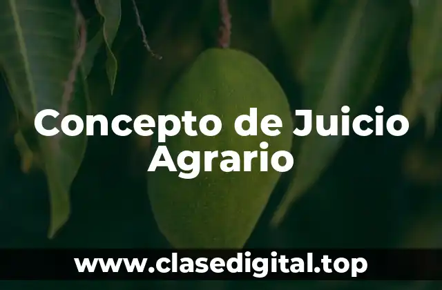 Concepto de Juicio Agrario