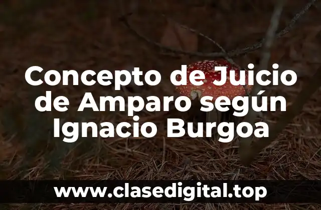 Concepto de Juicio de Amparo según Ignacio Burgoa