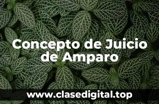 Concepto de Juicio de Amparo