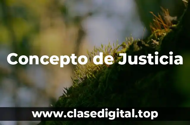 📗 Concepto de Justicia Según Hart