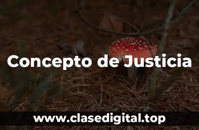 Concepto de Justicia