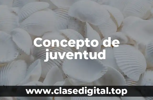 Concepto de juventud