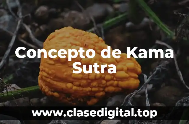 Concepto de Kama Sutra
