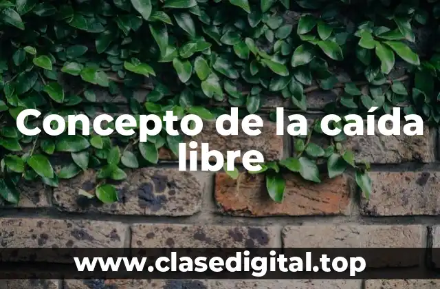 Concepto de la caída libre
