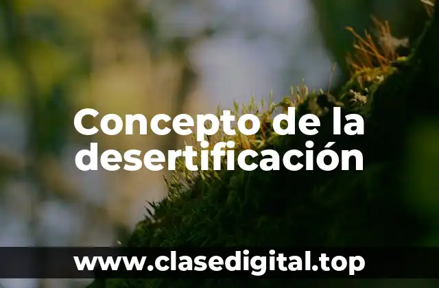 Concepto de la desertificación