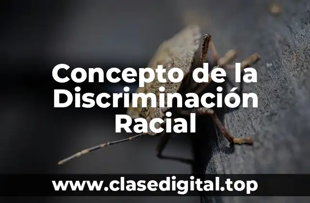 Concepto de la Discriminación Racial
