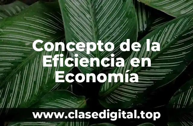 Concepto de la Eficiencia en Economía