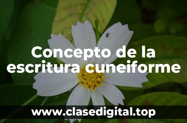Concepto de la escritura cuneiforme
