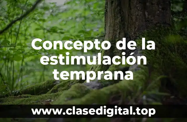 Concepto de la estimulación temprana