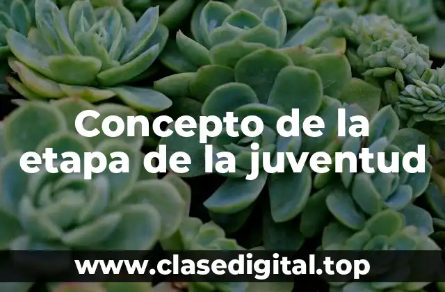 Concepto de la etapa de la juventud