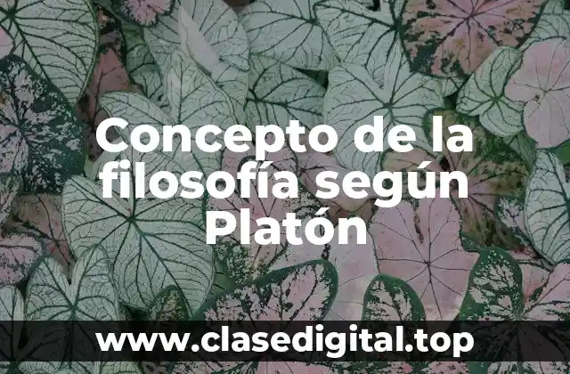 Concepto de la filosofía según Platón